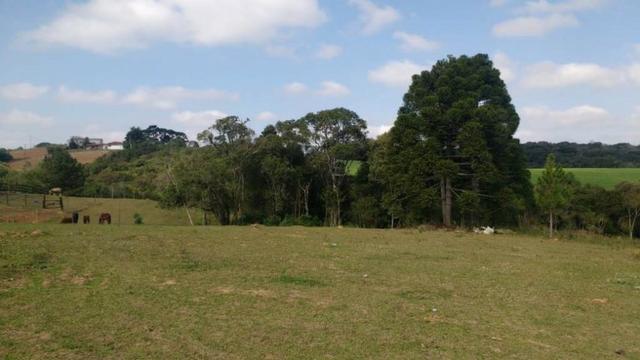 REF ? 2408 - Chácara de 2.500 m² e casa de 140 m², córrego na Serrinha - Contenda/PR - Foto 2