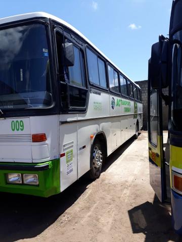 Onibus - Foto 4