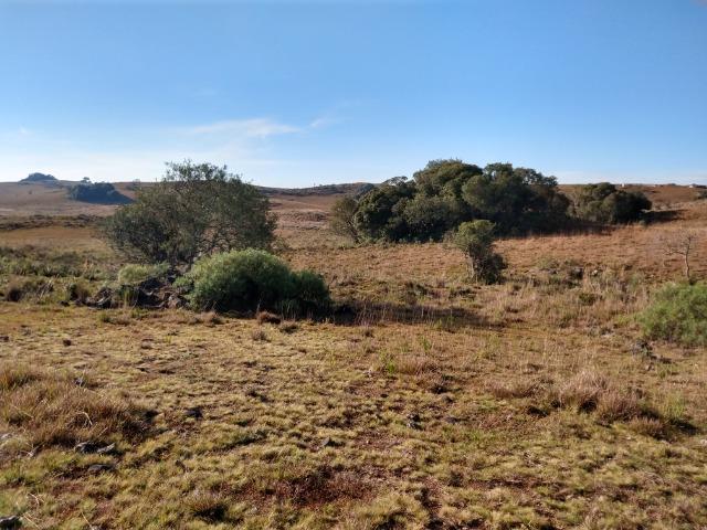 Área de terras com 22,24 hectares própria para cultura - Foto 4