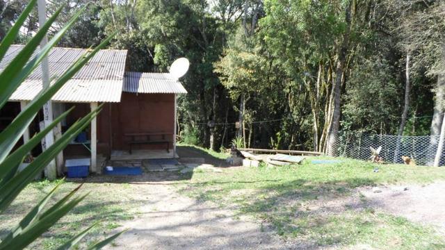 REF ? 2404 - Chácara com 2,400 m² localizada no capinzal com 3 nascente - Foto 2