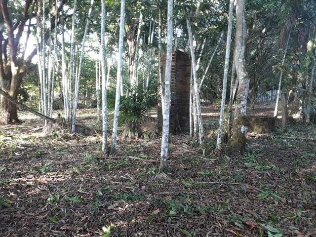 Terreno Benevides - Foto 2