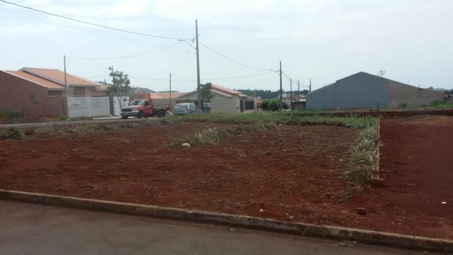 Terreno esquina 273 metros quitado Jardim América - Foto 4
