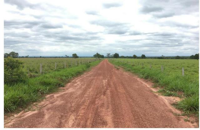 Vendo fazenda com 1.625 hectares em Poconé - MT a proximadamente 120 km de Cuiaba - Foto 5