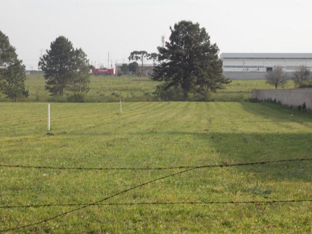 Vendo áreas lindas Costeira São José dos Pinhais Direto proprietario - Foto 16