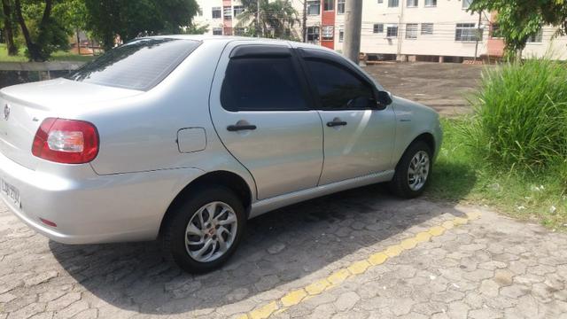 Siena pitbull muito novo - Foto 12