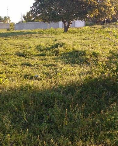 Terreno no Mosqueiro - Foto 2