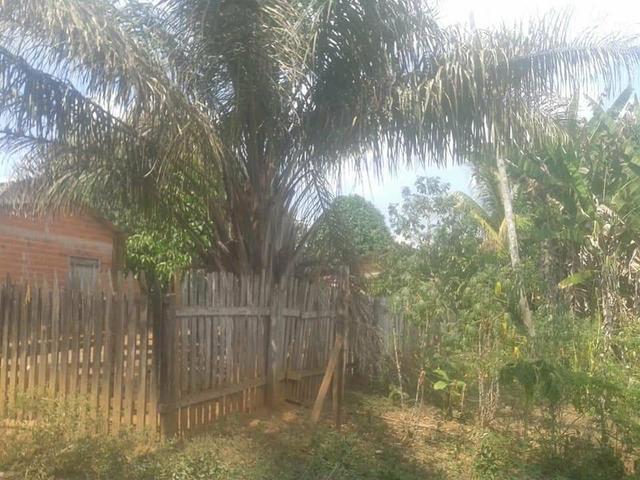 Vendo esse lindo terreno bem localizado na vila Liberdade - Foto 4