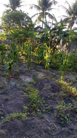 Vende-se terreno, próximo a antiga pina safra - Foto 2
