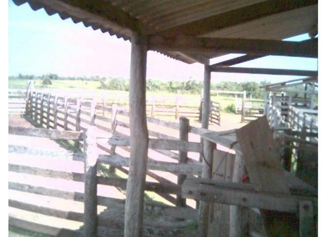 Vendo fazenda com 1.625 hectares em Poconé - MT a proximadamente 120 km de Cuiaba - Foto 10