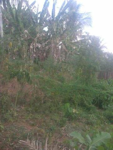 Vendo esse lindo terreno bem localizado na vila Liberdade - Foto 3