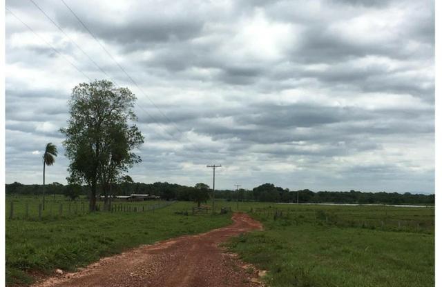 Vendo fazenda com 1.625 hectares em Poconé - MT a proximadamente 120 km de Cuiaba - Foto 3