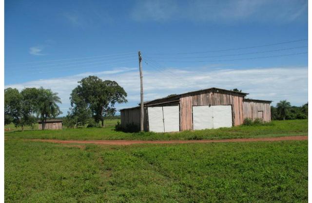 Vendo fazenda com 1.625 hectares em Poconé - MT a proximadamente 120 km de Cuiaba - Foto 8