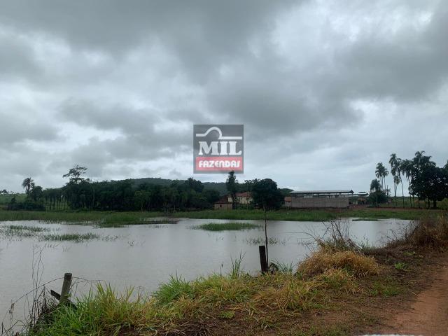 Área irrigada ( pivo central ) Fazenda 68 alqueires ( 333 hectares ) Morrinhos-GO - Foto 12