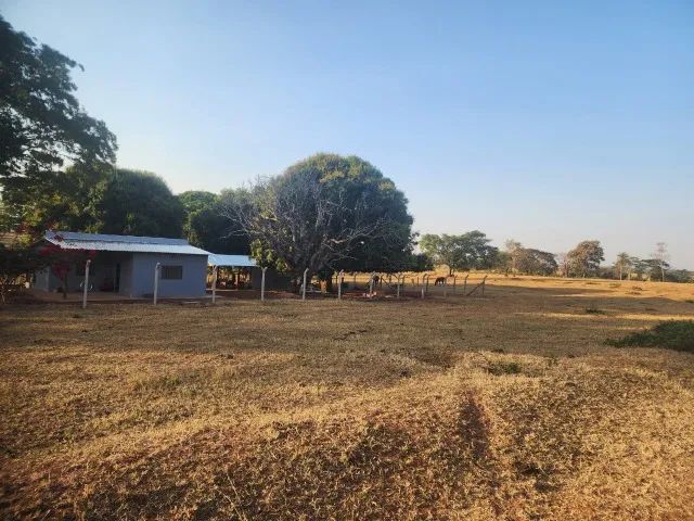 50 hectares a 25 Km de Campo Grande - Foto 14