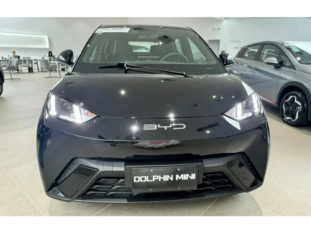 BYD DOLPHIN Usados e Novos
