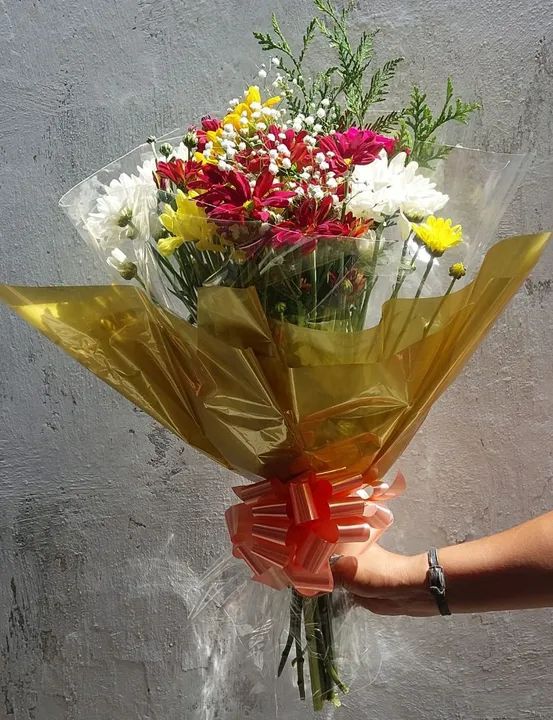 Planta Zamioculcas Zamiifolia - Foto 3