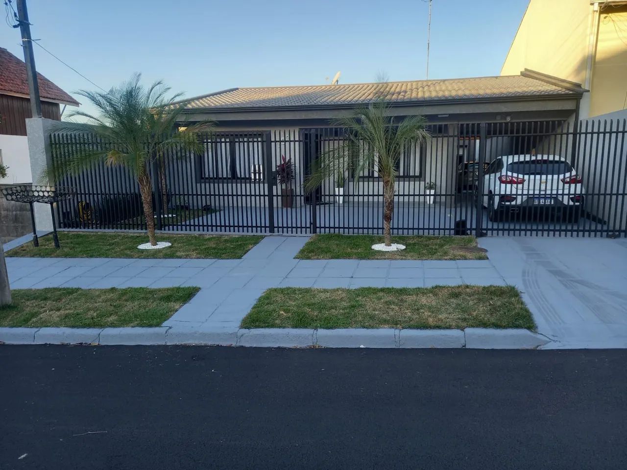 Palmeira Fênix  - Foto 2