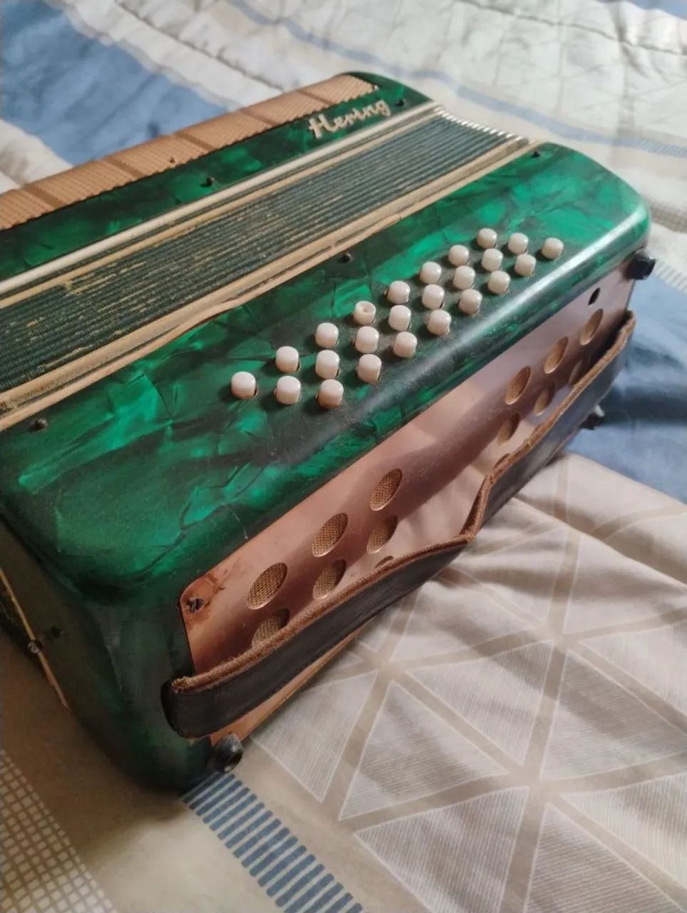Acordeon  marca Hering  - Foto 4
