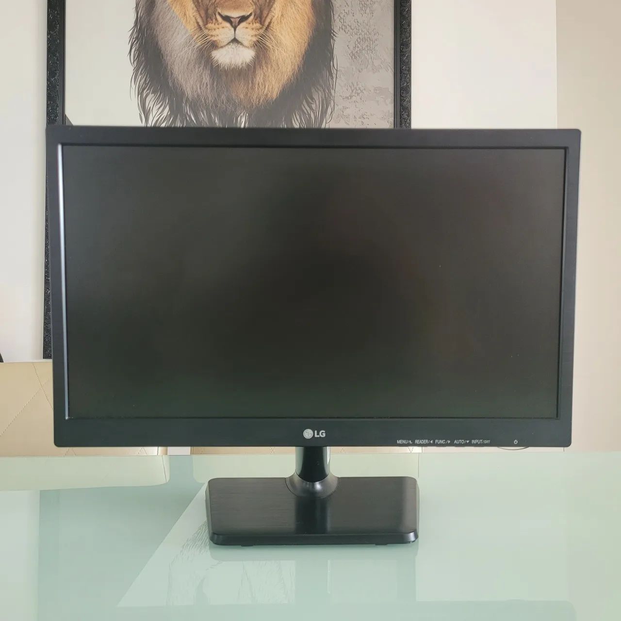 Monitor LED 19,5" 20M37AA-B LG