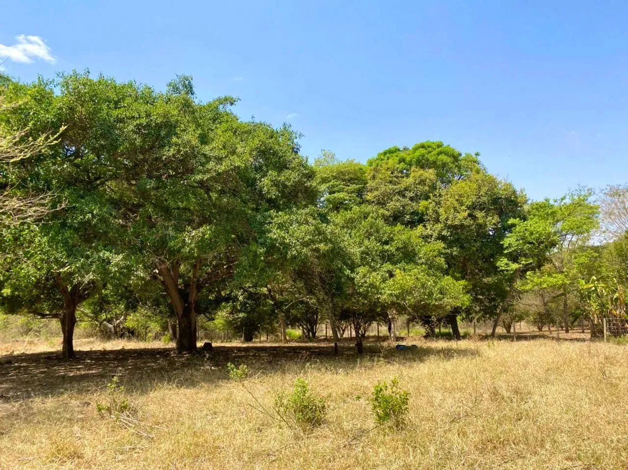 Área Escriturada em Bela Vista de Goiás - Foto 4