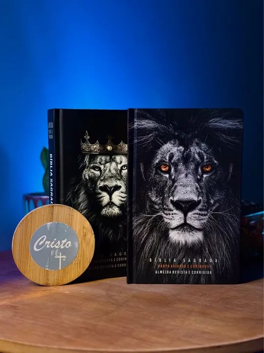 Bíblia Sagrada - letra gigante  - Foto 2