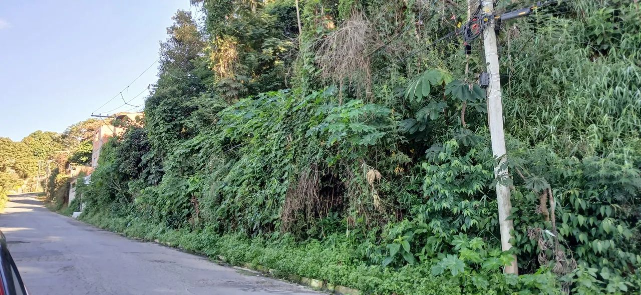 *OPORTUNIDADE* Vendo Terreno c Escritura - lote 10 - Francisco Morato próx a F. da Rocha - Foto 7