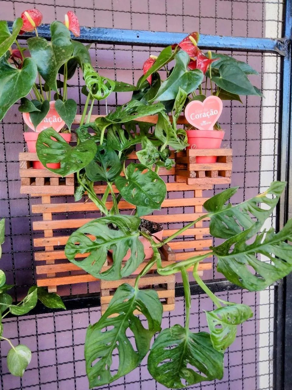 PAINEL DE MADEIRA PARA PLANTAS  - Foto 2