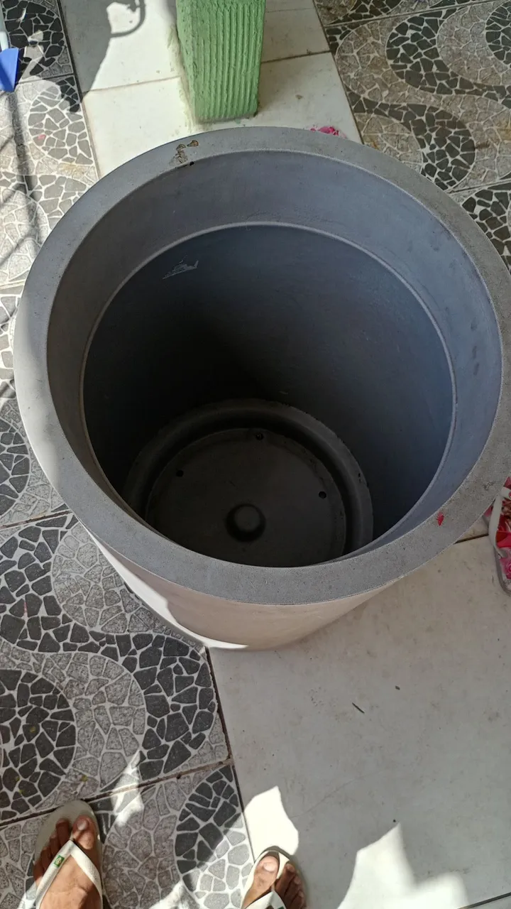 Vaso de planta grande