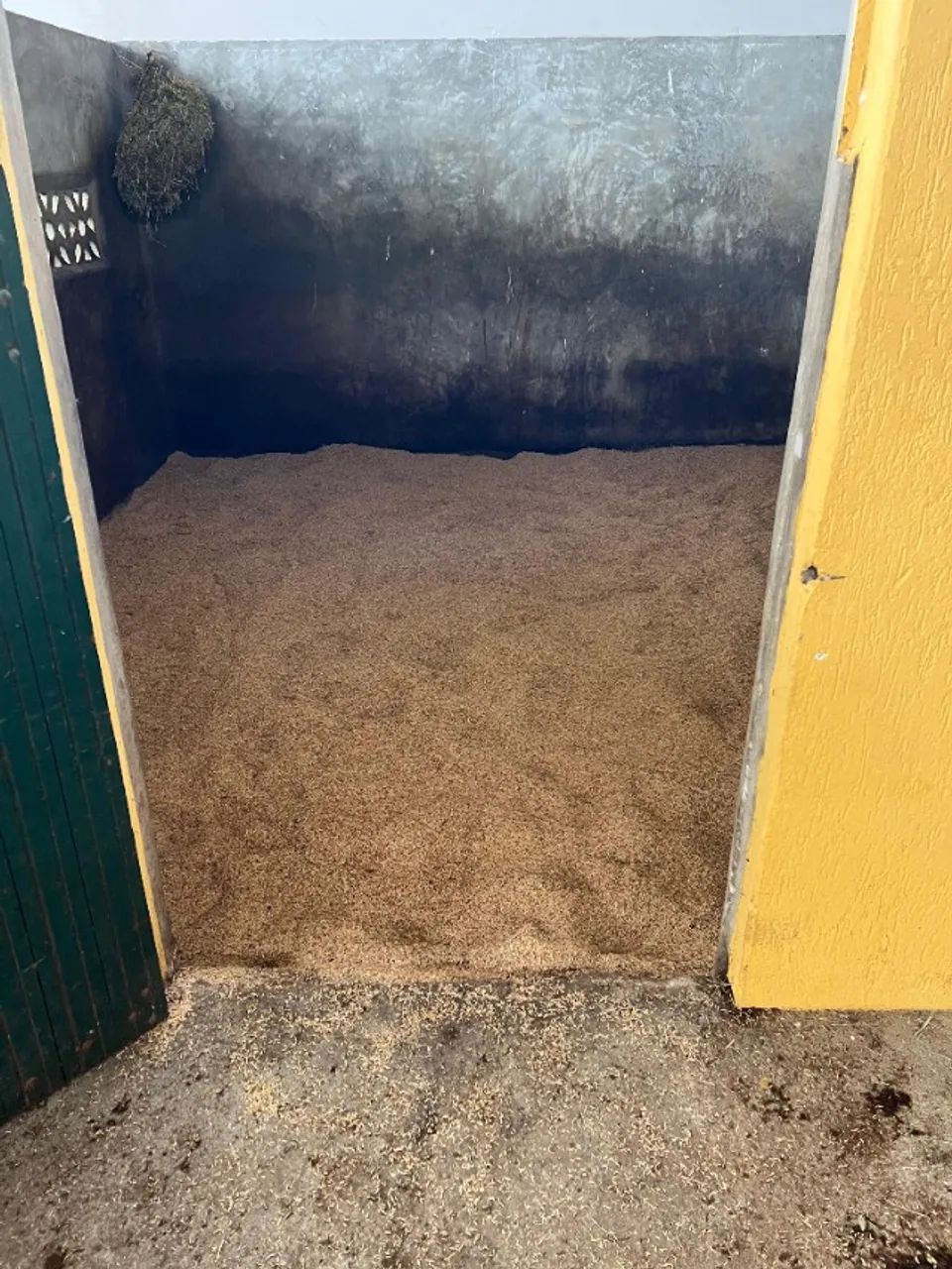 Palha de Arroz / Casca de Arroz para Cavalos - Foto 5