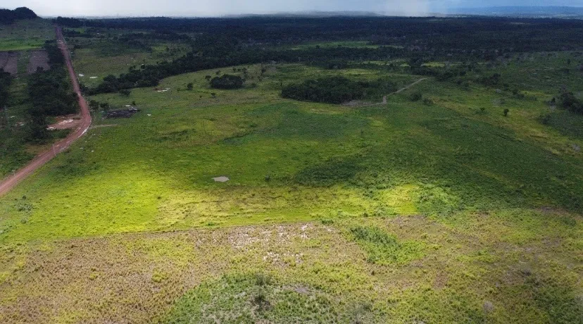 Fazenda de 12 mil hectares no estado do Pará