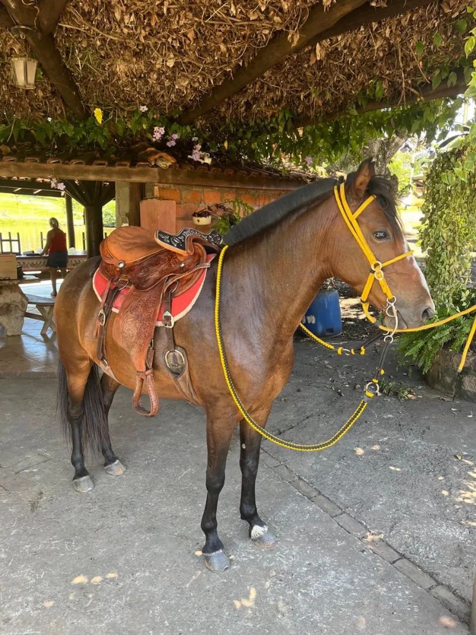 VENDO EGUA MANGA LARGA - Foto 4