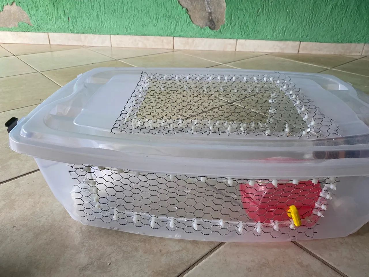 Mini-Terrário caseiro para seu hámster  - Foto 5