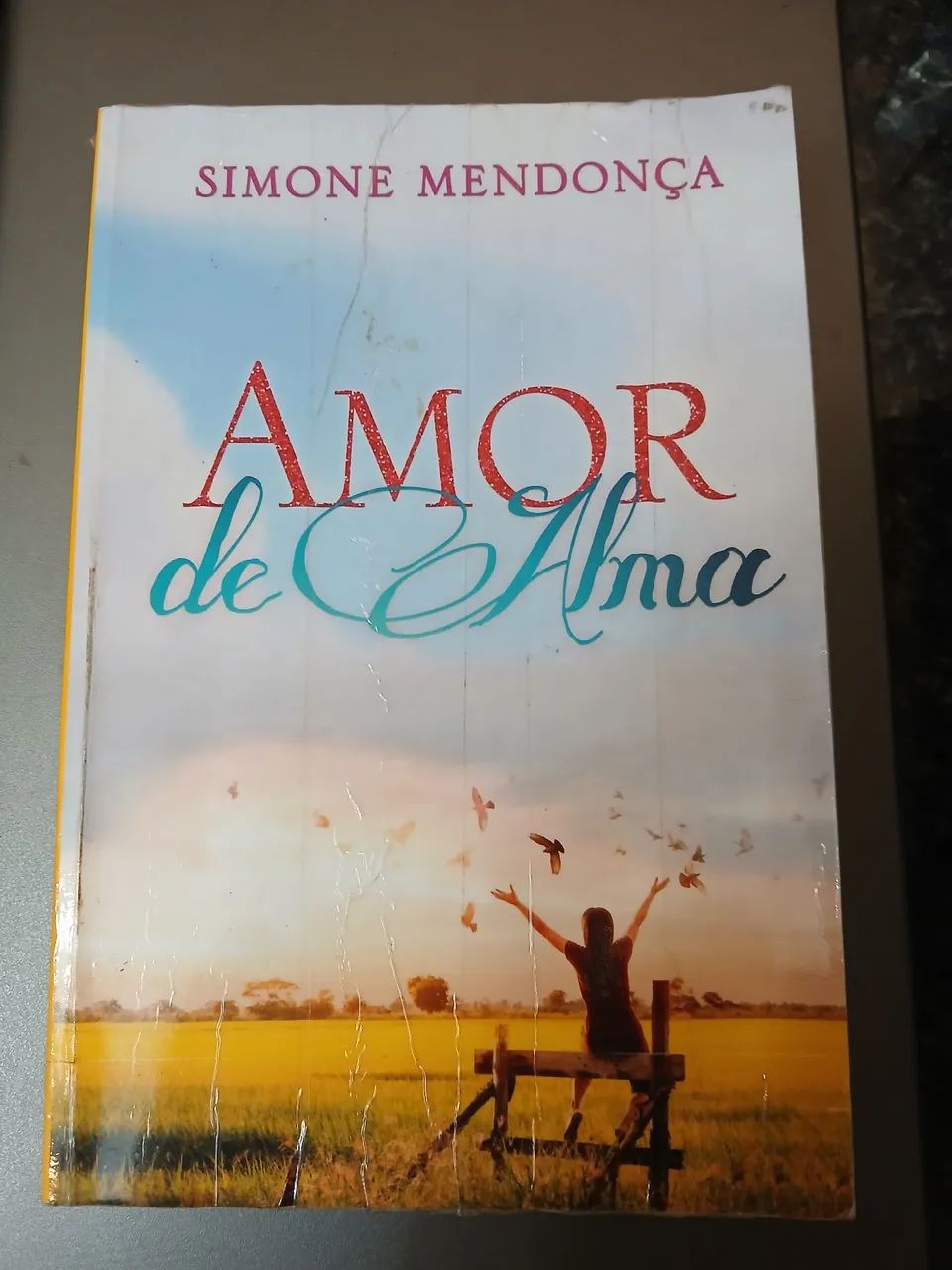 Amor de Alma - Simone Mendonça