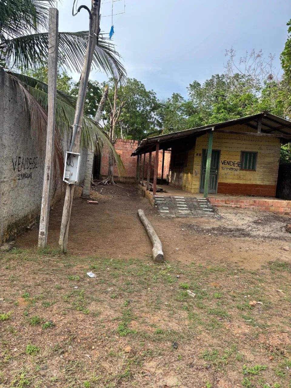 Foto - Novo Airão - 