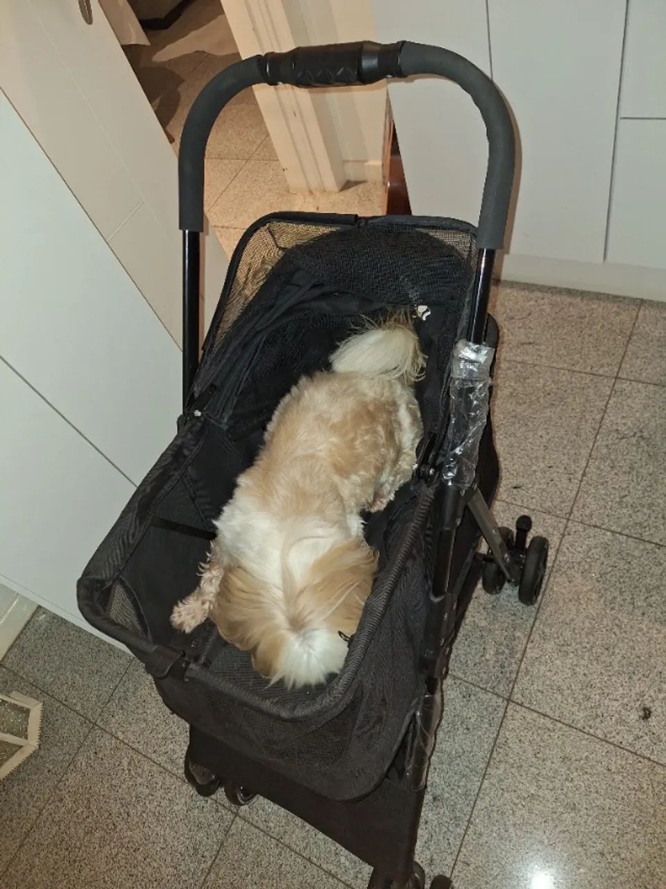 Carrinho de passeio para Cães e gatos
