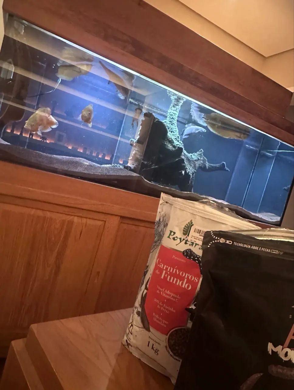 Aquário Jumbo 1.100 Litros Franco Aquarismo 