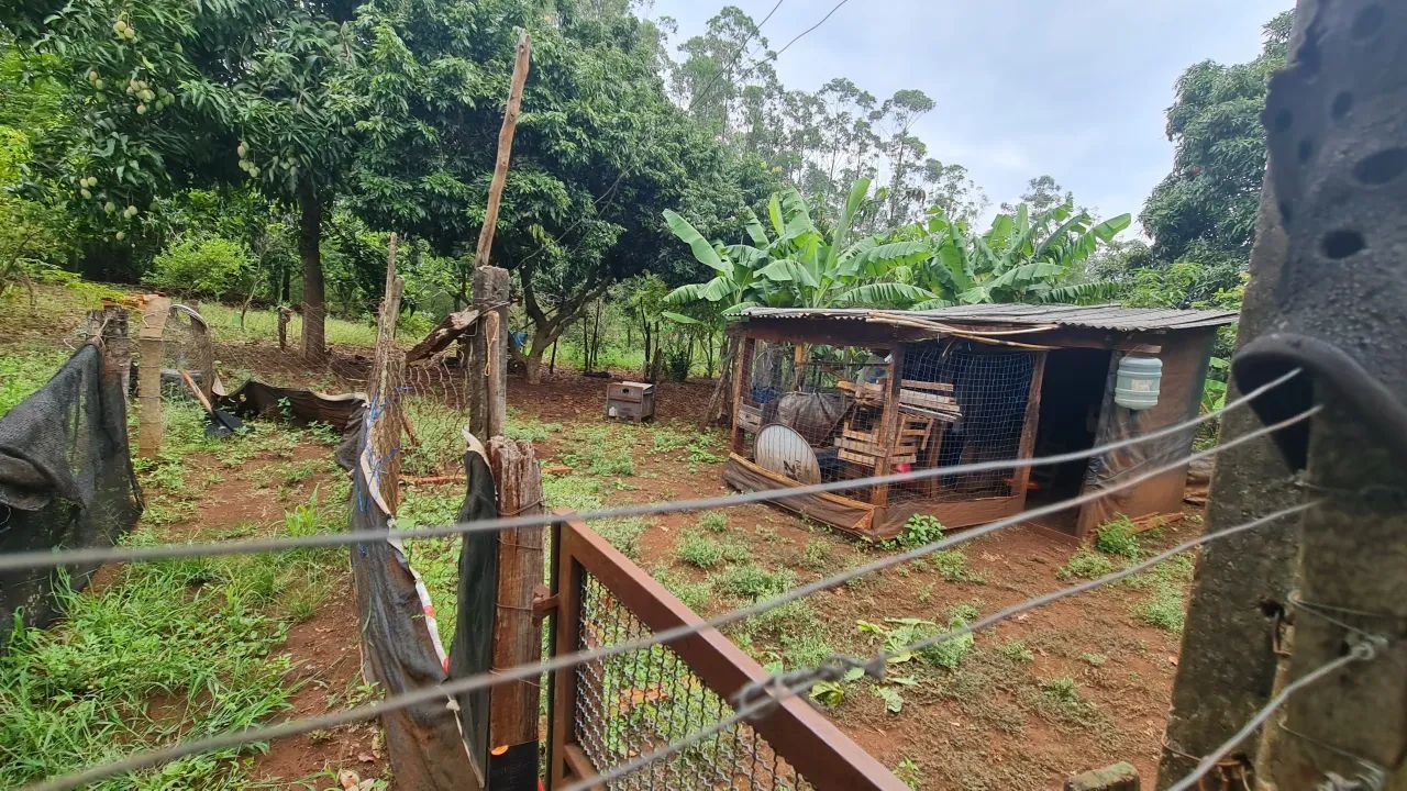 Chácara Balneário Tibagi próx ao antigo pedágio de Jataizinho estuda permuta por casa em L - Foto 3