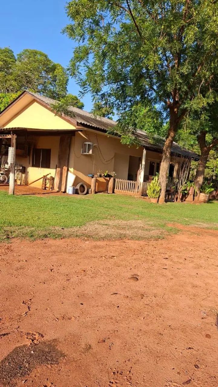 Fazenda de arrendamento 1.000 hec em nova Maringá MT.  - Foto 3
