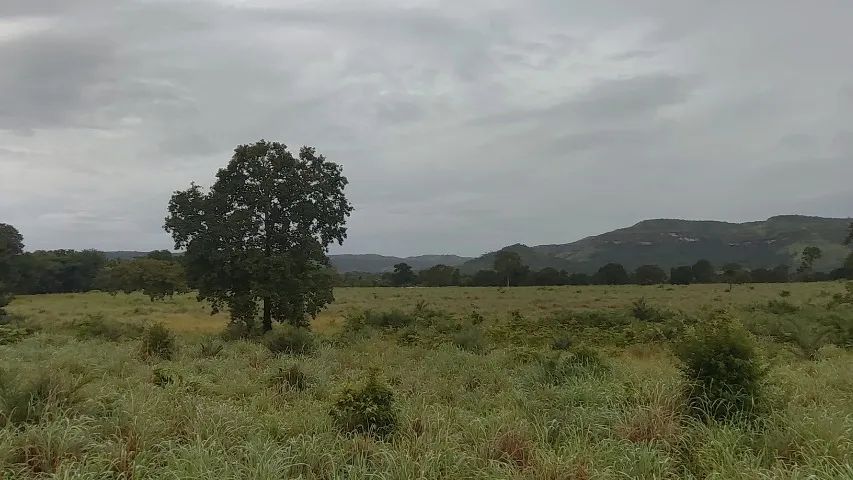 Fazenda 17 alq em Porto Nacional 