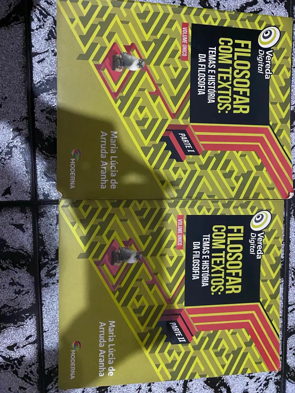 Vareda Digital Filosofar com Textos (Parte 1+Parte2)