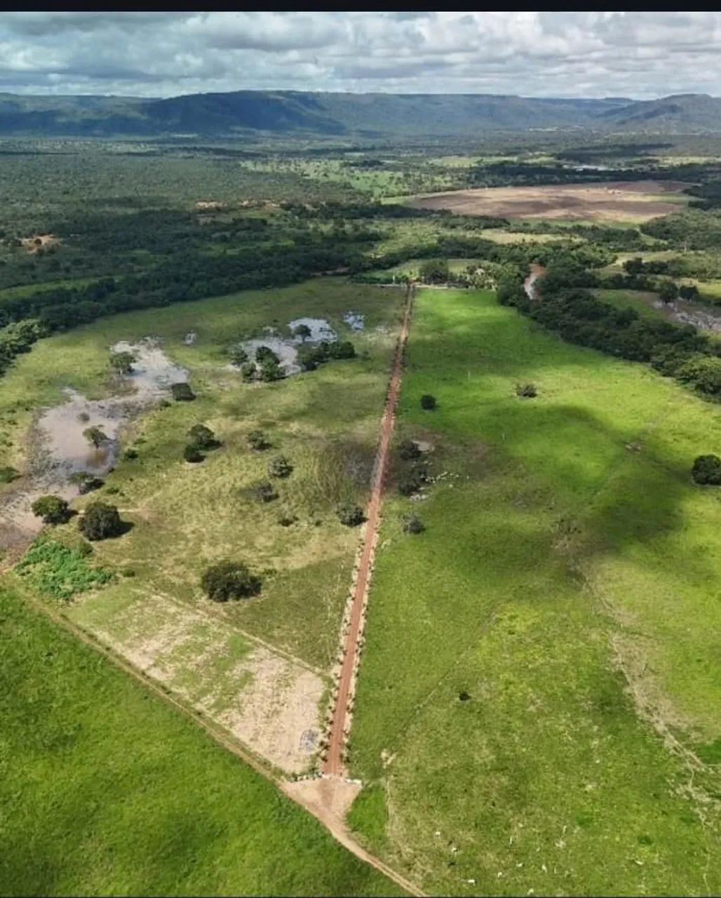 Fazenda em Buritis MG  - Foto 2