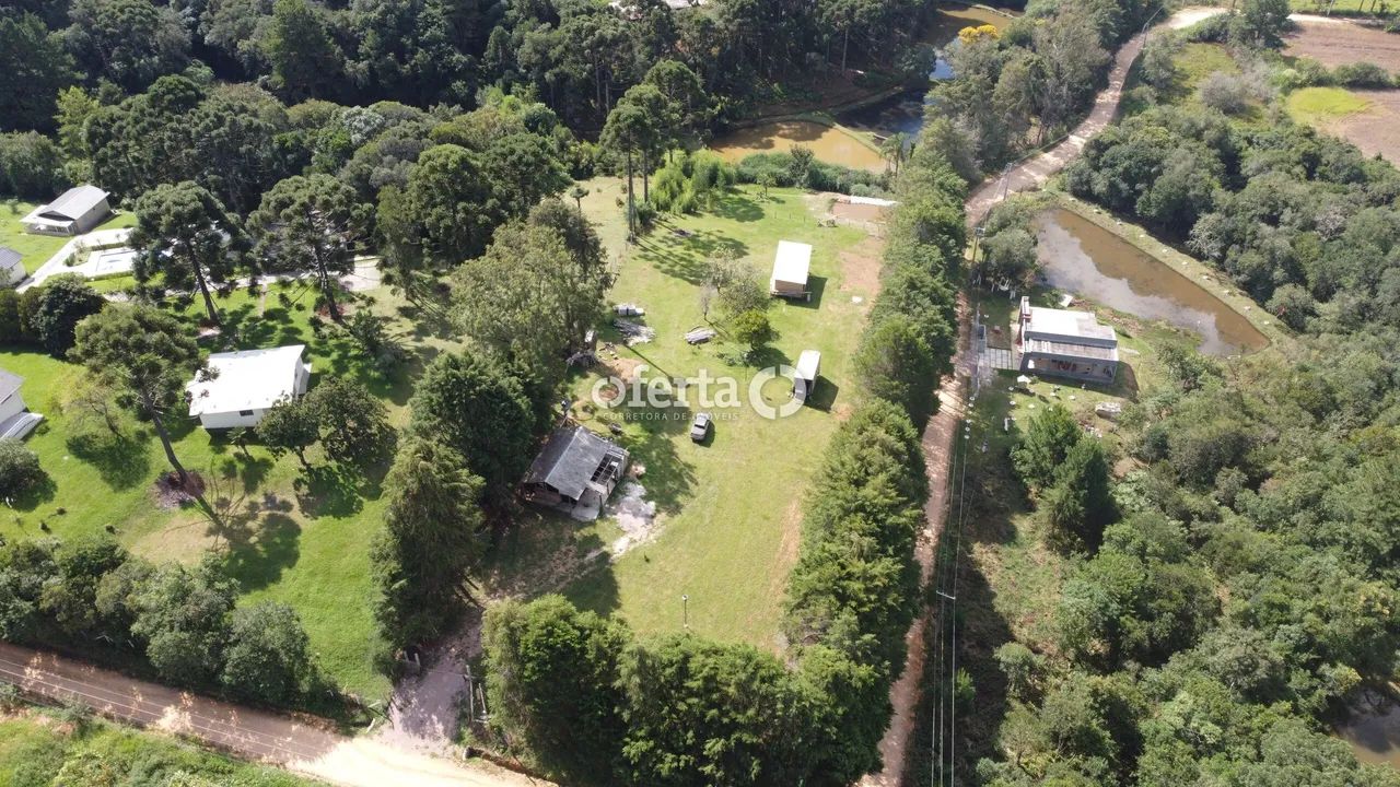 Chácara em Contenda - Foto 3