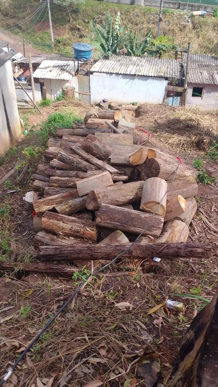 Lenha de eucalipto para doação 