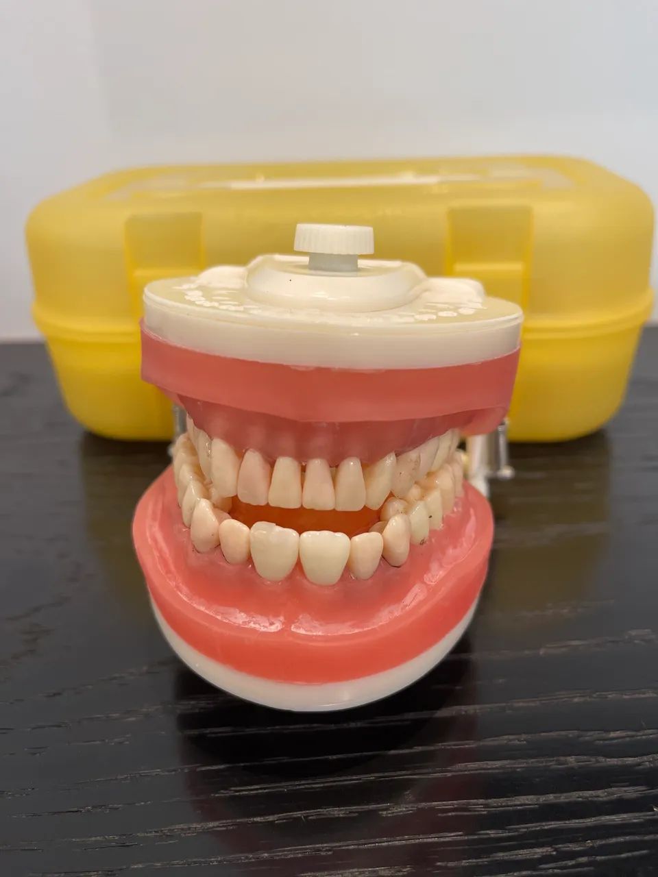 Manequim odontológico de Dentista PD 100 Pronew - Foto 2