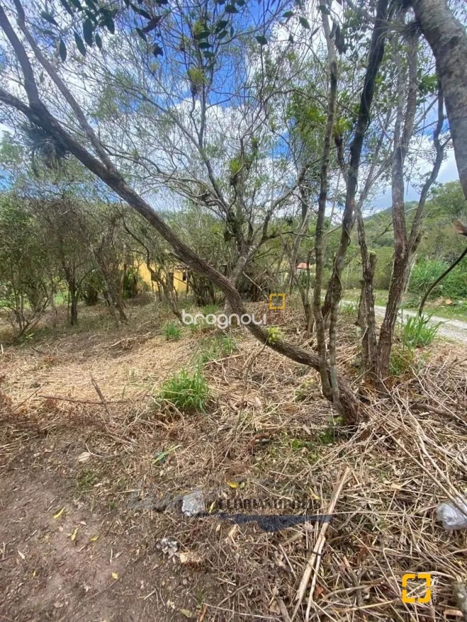 Terreno Ratones - Florianópolis/SC - Foto 4