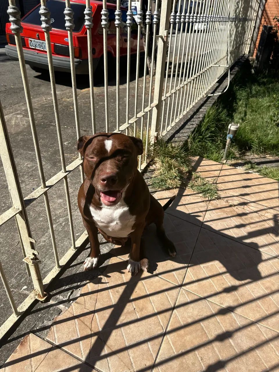 Doação  - Foto 3