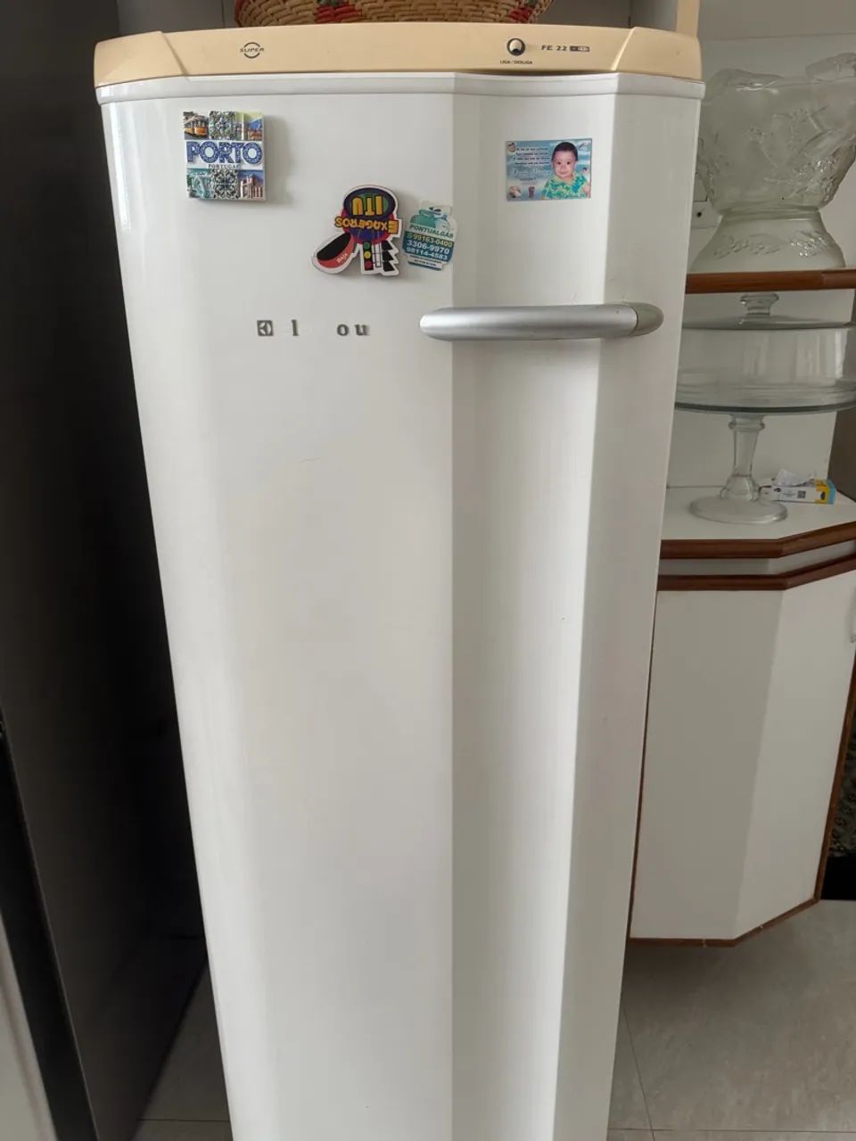Freezer Eletrolux FE22