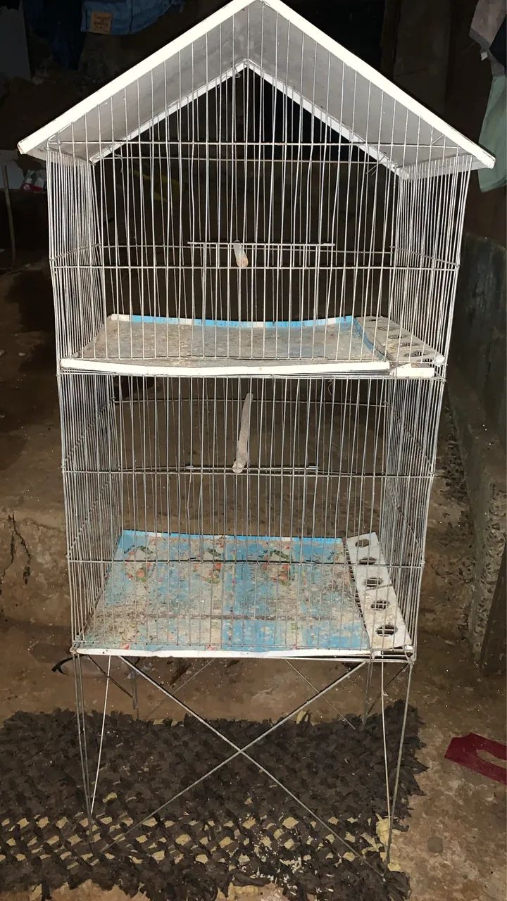 Viveiro para Aves - Foto 2