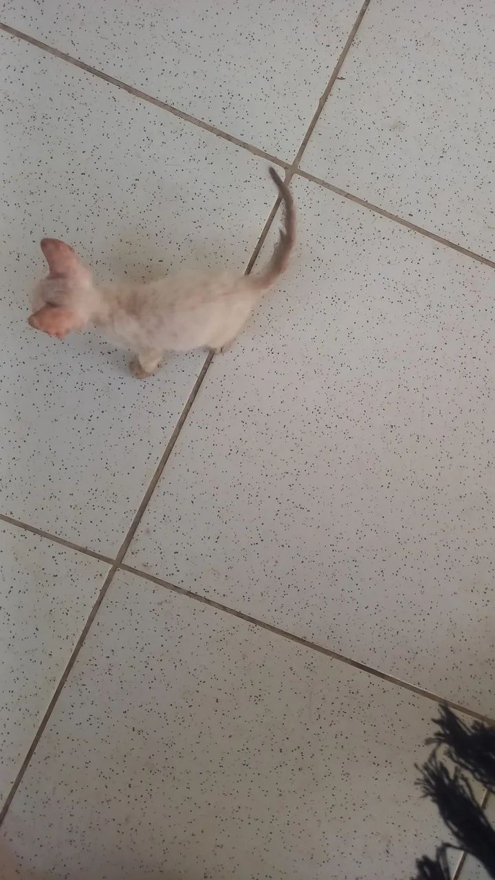 Doação