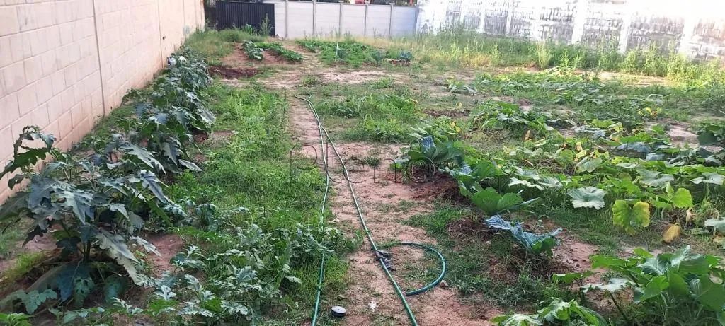 Terreno à venda em Campinas, Cidade Satélite Íris, com 416 m² - Foto 2